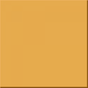 transparent-orange